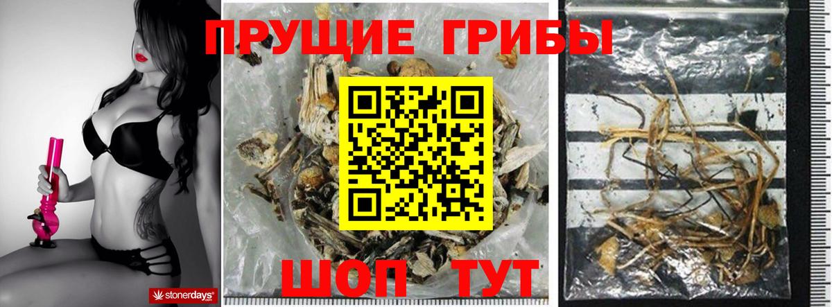 Псилоцибиновые грибы ЛСД Электросталь