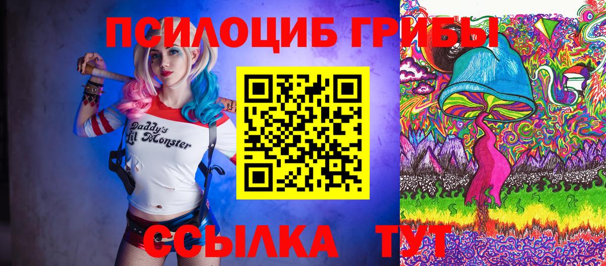 Электросталь  Галлюциногенные грибы Magic Shrooms  Вход с VPN 